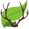 Wildlife Leadership Academy