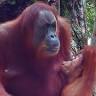 Wild Nature Trekking Experience