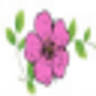 Wildrose Disposal