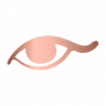 Wildwood Eye Care