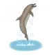 Wilkes Pools and Spas-Service
