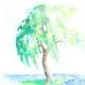 Willow Tree Counseling