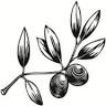 Wiltshire Pantry Bakery and Café - Highlands