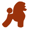Windair Poodles