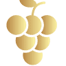 Terroir Fine Wine