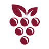 Wine Ridge RV Resort & Cottages