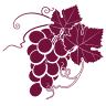 Cortona Wine Tours