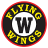 Flying Wings