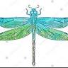 Wings Boutique & More
