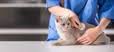 Winnsboro Veterinary Medical Center