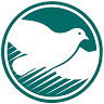 Wise Physical Therapy LLC