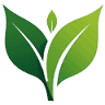 Wise Care Pharmacy