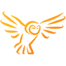 Wise Owl Medical Supply