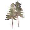 Wise Pines