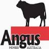 Wongalea Angus and Woodwork