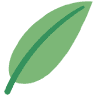 Woodford Psychiatry