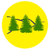 Woodland Realty