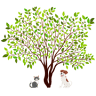 Woodland Veterinary Hospital