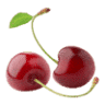 Woodyatt Cherry Farm