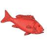 WOOLI FISHING CHARTERS