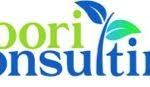 Kantor Woori Consulting & Uri Tour