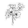 Wow Factor Floral