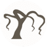 Willow Tree Montessori