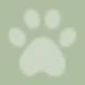Paw Spa and Retreat at Shenandoah Veterinary