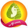 18Miles Forest Dhamma Centre