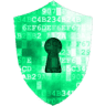 1st Choice Protection Systems LLC