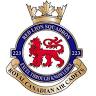 223 Red Lion Squadron Air Cadets
