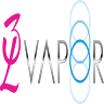 3L Vapor