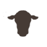 402 Beef CO