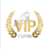 4 VIP Solutions Valet Parking