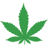 50 Shades of Green - Center