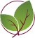 Basil Cafe