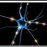 Five Towns Neurology PC