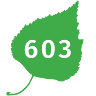 603 Birch Realty