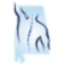 Alabama Anesthesiology and Pain Consultants