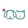 American Animal Hospital