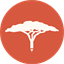 Abaarso Tech University Burao