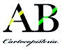 AB Cartocopisteria S.a.S.