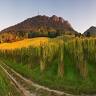 Quality wines - ABCROS, Ltd.