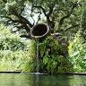 Abita Springs Hotel
