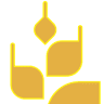 Abonos Biormin