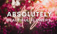 Absolutely Beautiful Flowers