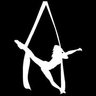 Abstract Aerial Academy