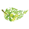 ABUNT Bio Textilien