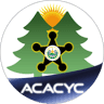 ACACYC PNC SAN VICENTE