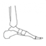 Academy Of Podiatry